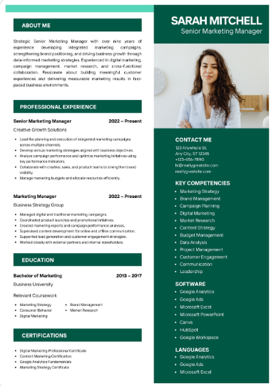 Professional CV Sample 72